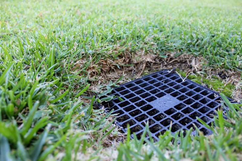 Yard Drain Maintenance
