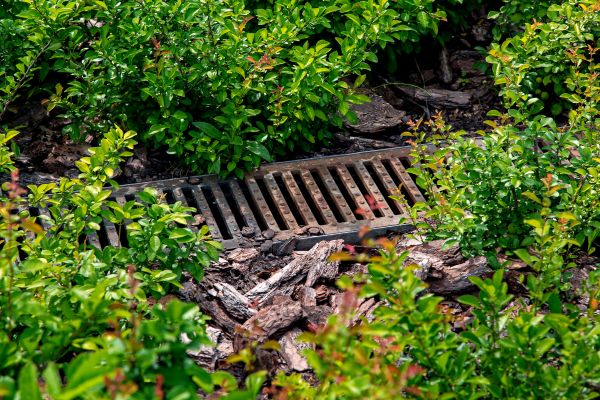 Cost of Underground Drainage Service in Federal Way