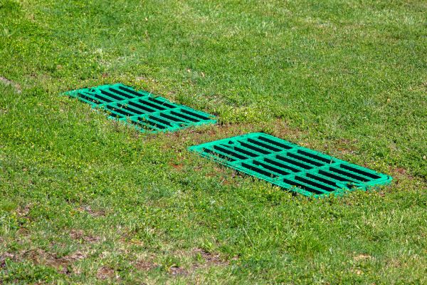 Cost of Soggy Yard Repair in Federal Way