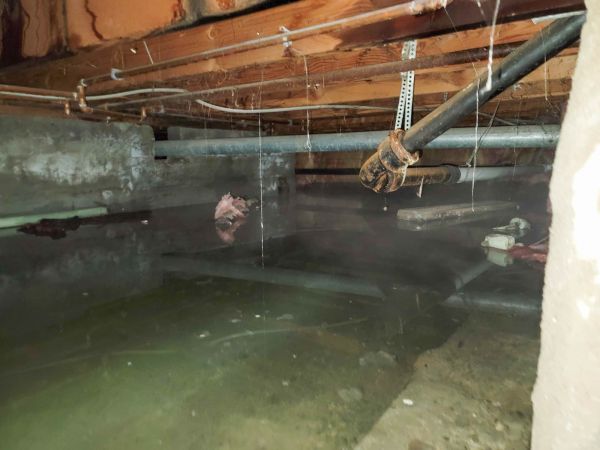 Cost of Crawlspace Drainage in Federal Way